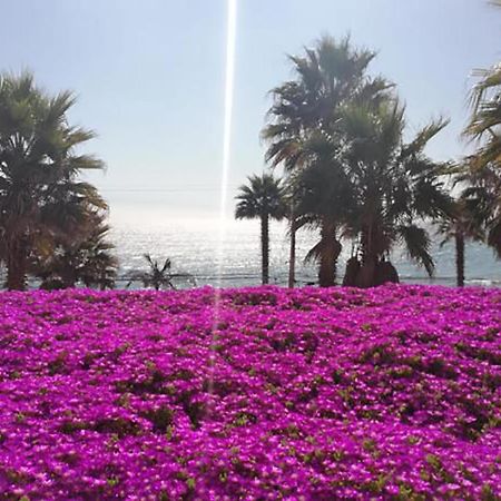 Playa Paraiso Resort Конкон Екстер'єр фото