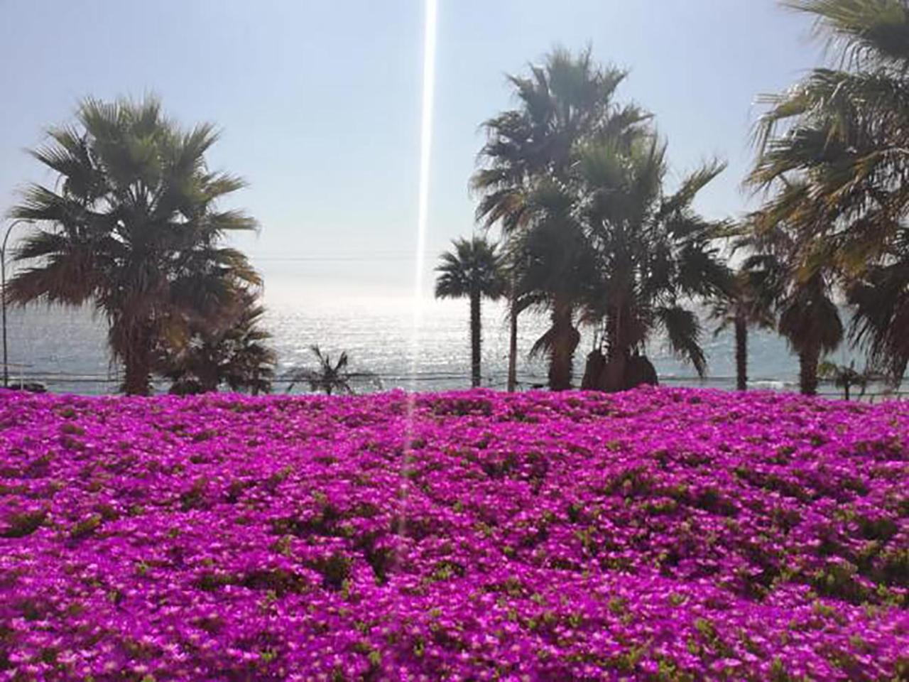 Playa Paraiso Resort Конкон Екстер'єр фото